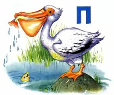Животные на букву п