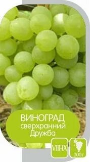 Виноград предложение