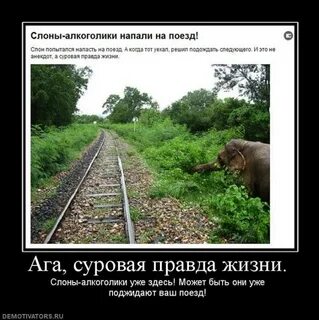 Суров жизнь слова