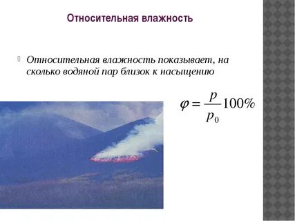 Большую влажность имеет