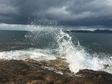 Баренцево море море какого