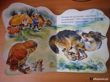 Сладков сорока