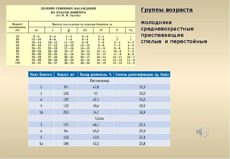Группа возраста насаждения. Группа возраста насаждения. Возраст насаждений. Класс возраста лесных насаждений таблица. Группа возраста лесных насаждений таблица по породам.
