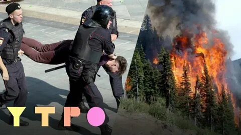 Последние новости на дожде на ютубе сегодня