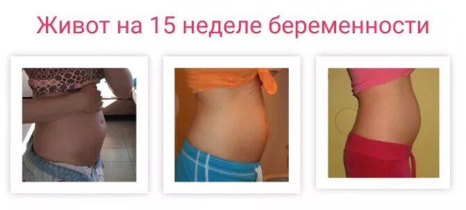15 неделя ощущения. Живот на 15 неделе беременности. Живот у беременных на 15 неделе. Беременный животик 15 недель. Живот в 15 недель вторая беременность.