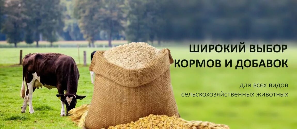 Комбикорма для сельскохозяйственных животных. Добавки для сельскохозяйственных животных. корм для сельскохозяйственных животных. корма для сх животных. корма для сельскохозяйственных животных реклама.