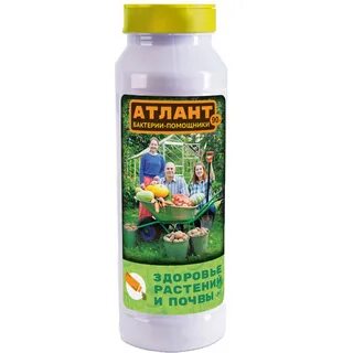 Атлант для рассады