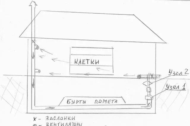 Как сделать вентиляцию и освещение в курятнике: практические советы