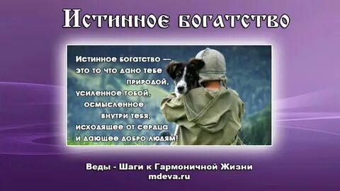 Истинное богатство