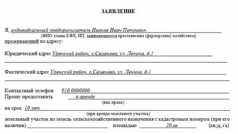 Понятие и форма заявления