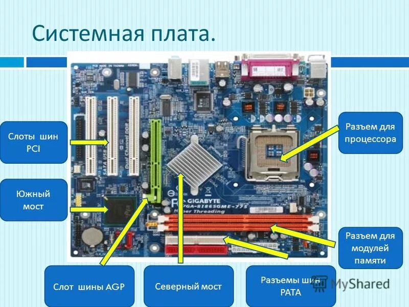 Системная плата процессор память. Компоненты системной шины ПК. Типы мат плат ASUS. Интерфейсные разъемы на материнской плате. Расположение слотов памяти на материнской плате асус.