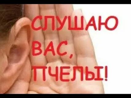 Слушать пчела нас свяжут вместе
