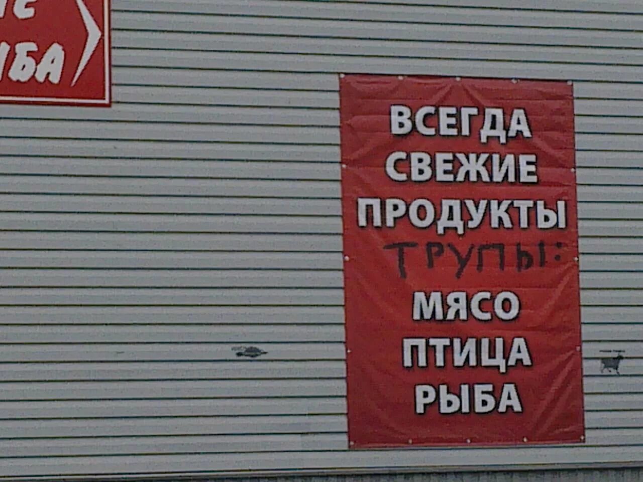 Всегда свежее. Архангельск прикол. Мемы про Архангельск. Шутки про Архангельск. Архангельск смешная картинка.