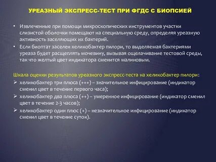 Уреазная активность бактерий