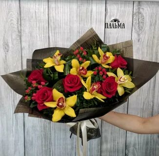 Пальма белгород цветы