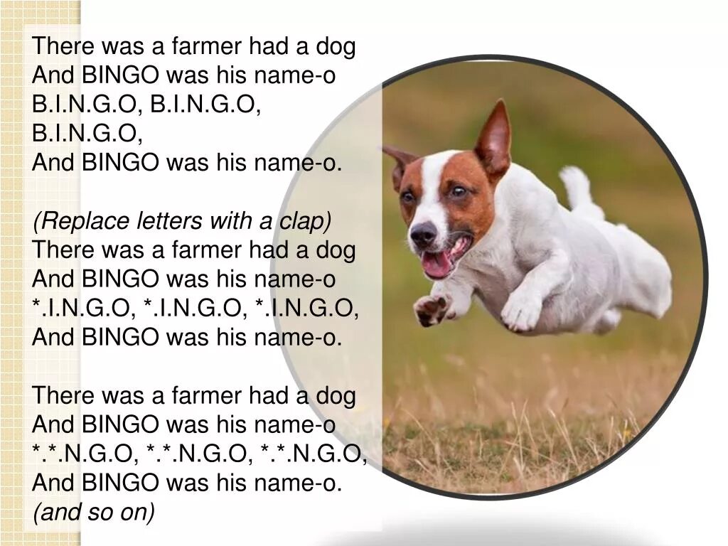 There was a Farmer had a Dog. Имена для собак. Bingo was his name. A Dog Бинго. Dogs s names are
