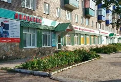 Авиценна белогорск