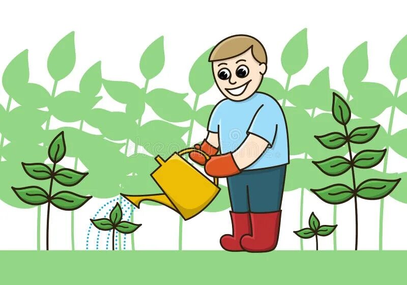 Папа поливает цветы. Цветок отцовское счастье. Винченцо поливает цветы. Папа поливает цветы. Мальчик поливает растения.
