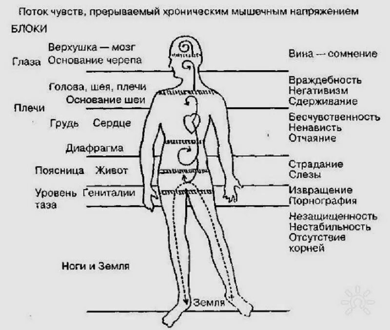 Ощущение терапия. Телесно-ориентированная терапия схема. Мышечный панцирь Лоуэн.