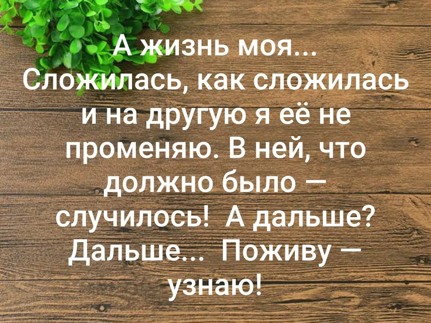 Как сложится жизнь сына. Жизнь продолжается афоризмы. Открытки жизнь продолжается. Жизнь продолжается цитаты. А жизнь продолжается стихи.