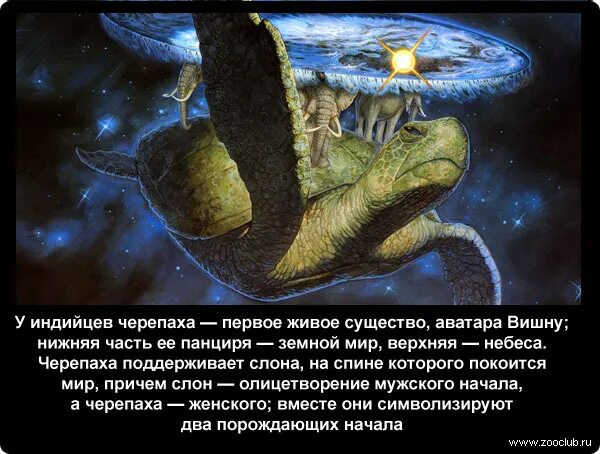 Легенда о черепах. Интересные черепахи. Легенда о черепах. Сообщение о черепахе. Легенда о черепах.