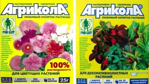 Удобрения для петуний для цветения
