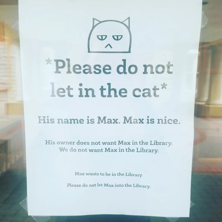 He upset because his cat got. Кот в библиотеке. Max the Cat. Кота зовут Макс. Please don't Let the Cat out.