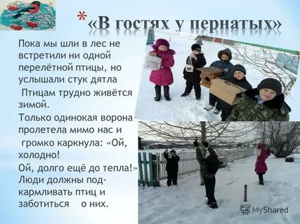 Пернатые гости 3 класс