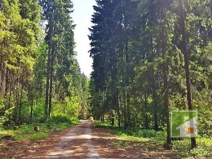 Поселок сходня