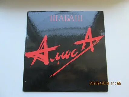 Алиса новый альбом 2024 год