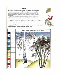 Экологическая тетрадь