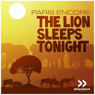 The lion sleeps tonight