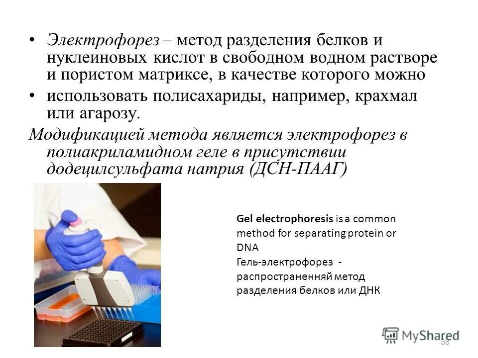 Электрофорез метод исследования. Практическое значение электрокинетических явлений. Электрофорез значение метода. Метод электрофореза белков в биохимии. Методы электрофореза.