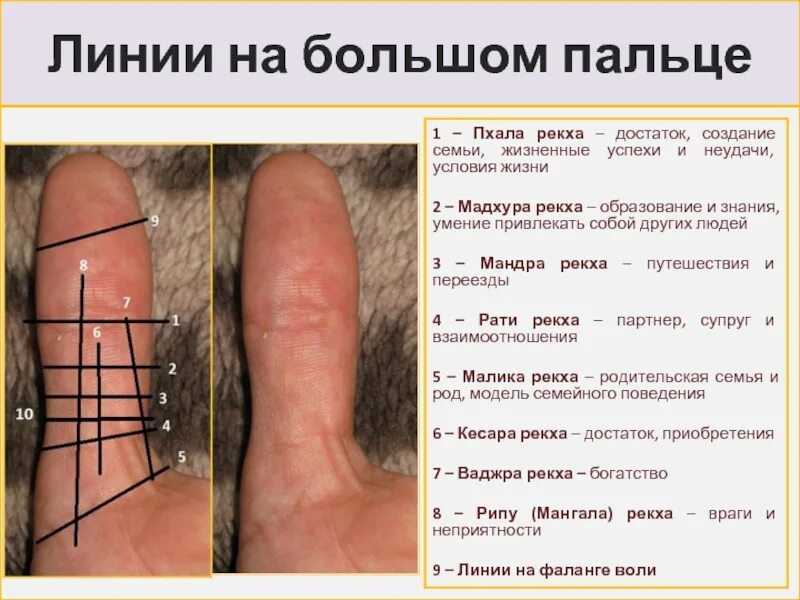 Плотно ратью