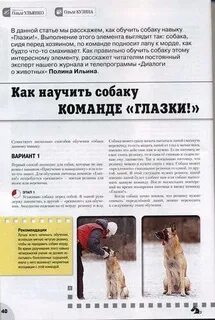 Команды для собак список
