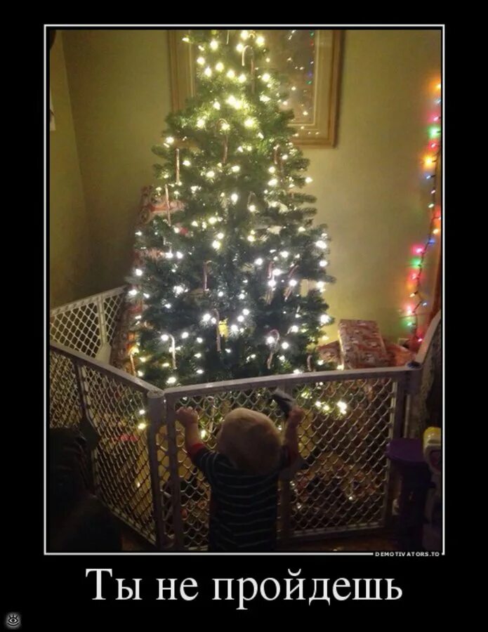Вынеси елку. Приколы про новогоднюю елку для детей. Новогодняя елка юмор. Дети и елка приколы. Приколы про елку и новый год.