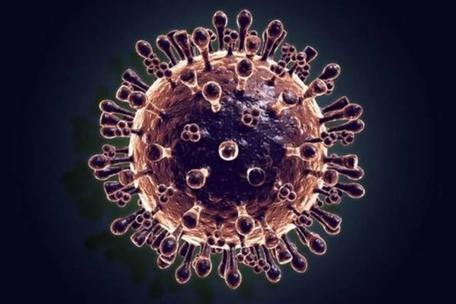 Вирус гриппа одноклеточный. Вирус h5n1. Вирус гриппа h5n2. Influenza a virus h5n1.