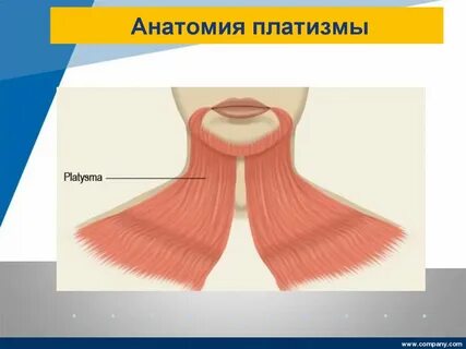 Платизма