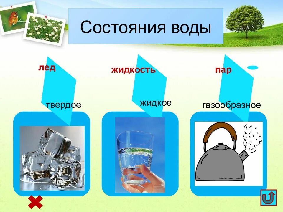 Форма твердое жидкое газообразное. Состояния воды. Три состояния воды. Состояния воды для детей. Состояния воды для дошкольников.