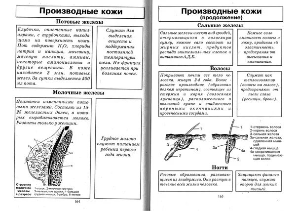 Биология таблицы рисунки