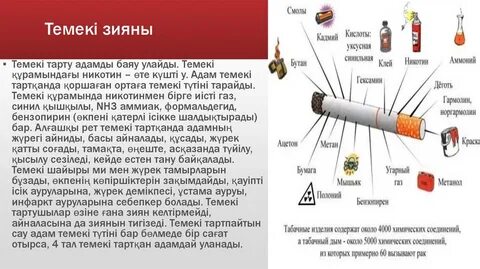 Трусики жоқ кафедегі қыз