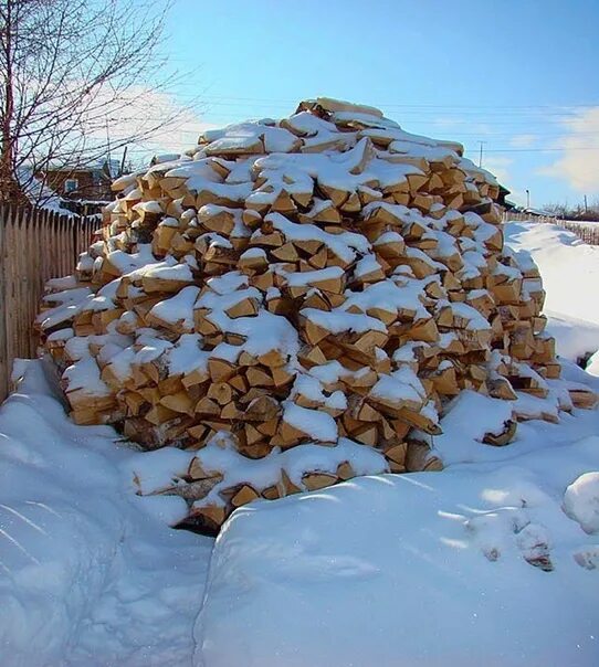Бревно в лесу зимой. Поленья зимой. Колка дров зимой. Дрова в лесу зимой. Зимние дрова.