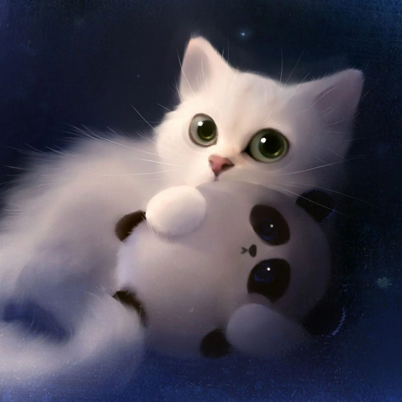 Котики на ватсап. Котики на ватсап. Красивые кошки. Аниме котята. Новогодние авы.