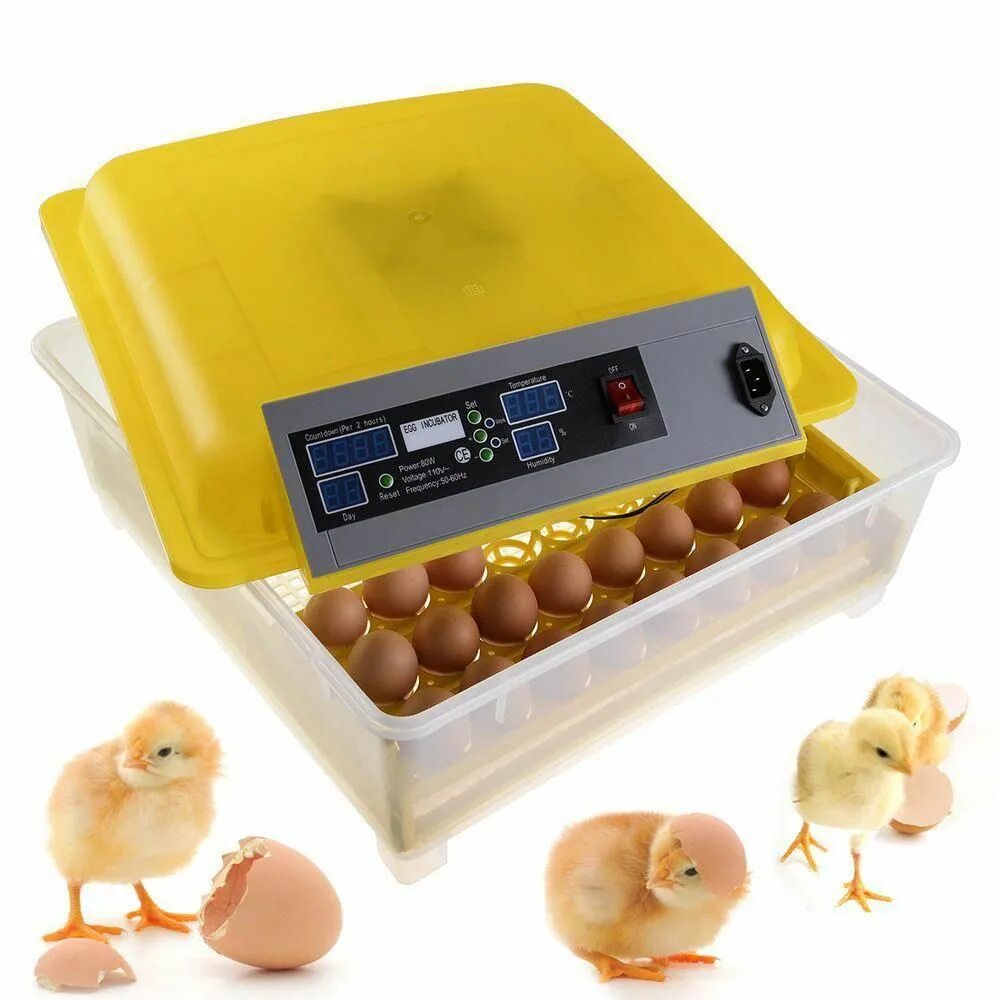 Mini Egg incubator. Инкубатор для яиц Egg incubator. Инкубатор citaitai Automatic Egg incubator 30w Set up. Инкубатор дип 50ж.