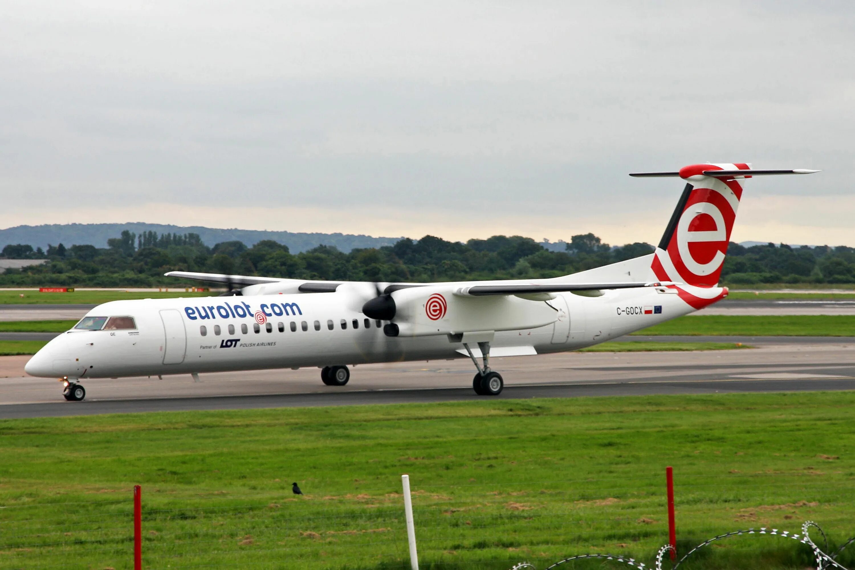 De Havilland Canada Dash 8-400 салон. Рейс IQ-5006, dhc8 Dash 8-400. Dash0925r2m. Dash 480