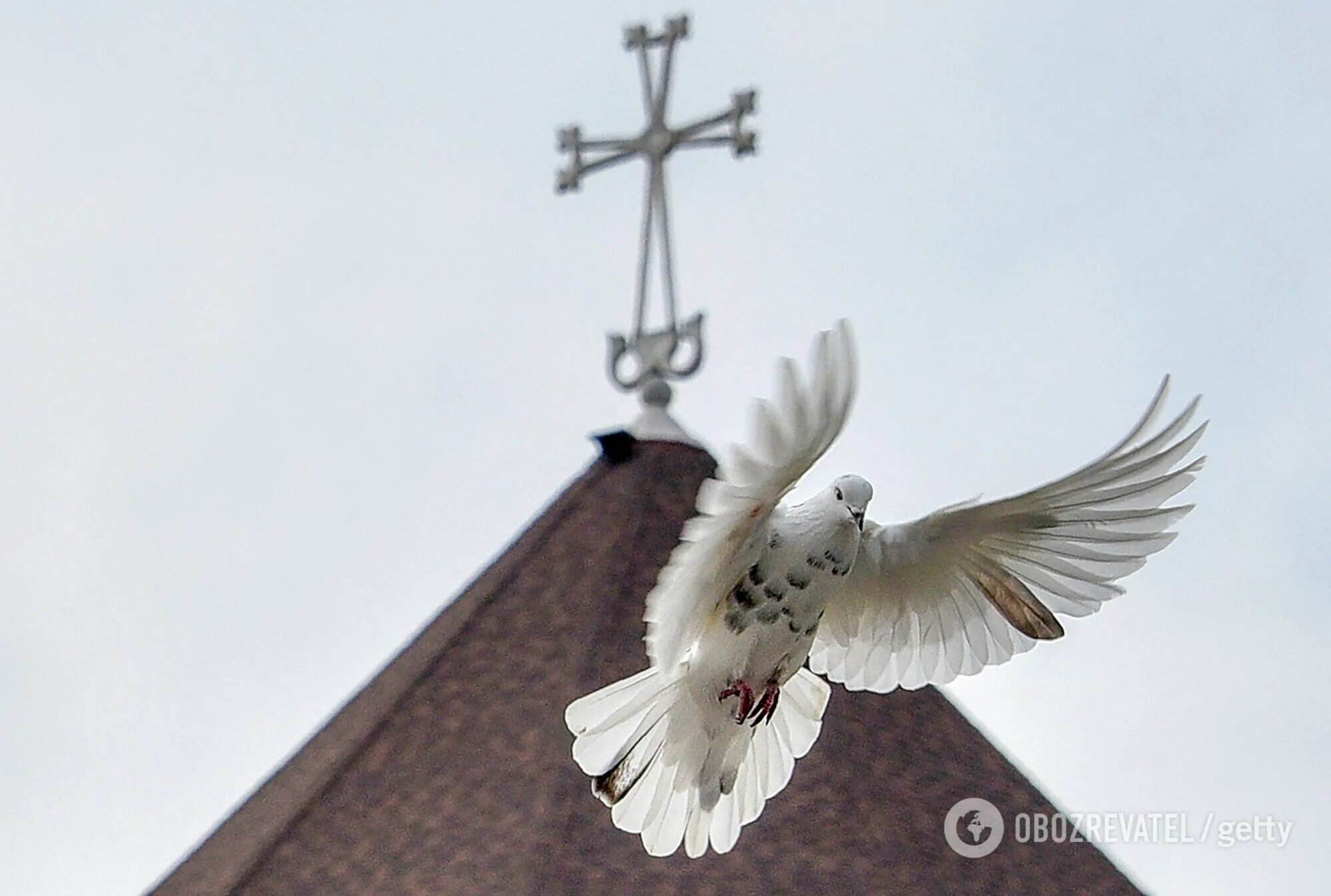 Благовещение в 24 году какого числа. Белый голубь символ Святого духа. Что символизируют голуби на Благовещение.