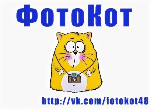 Кот мурыч радио. Кот мурыч.