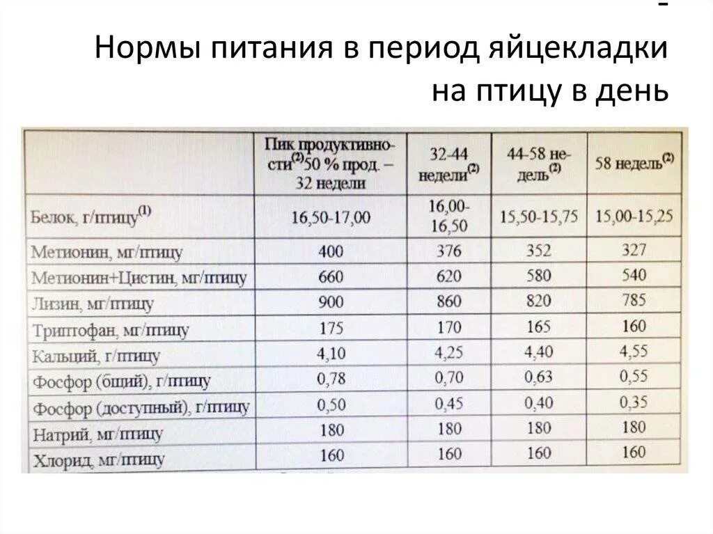 Нормирование кормления сельскохозяйственных животных. Нормирование кормления. Нормы показатели питания. Нормы кормления быков производителей. Нормы питания.