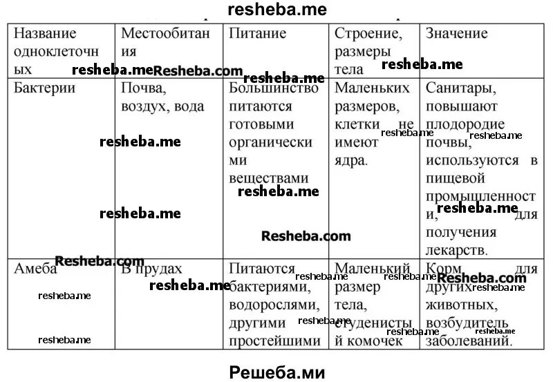 Сходства и различие простейших. Таблица сходства и различия одноклеточных организмов. Сходства и различия одноклеточных. Сходства и различия одноклеточных животных с бактериями. Составьте таблицу сходства и различия одноклеточных организмов.