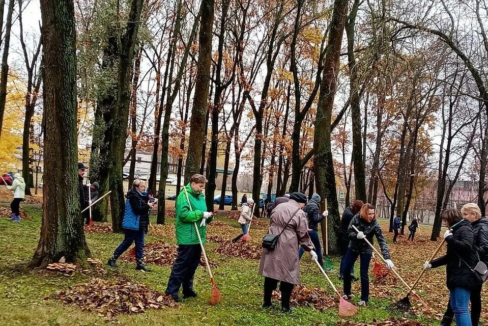 Люди вышли на субботник. Общегородской субботник СПБ. Приморский парк субботник. Субботник фото картинки. Субботник 2019 СПБ.